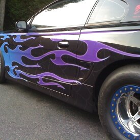 Vehicle Wrap